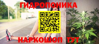ECSTASY Гай