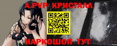ECSTASY Гай