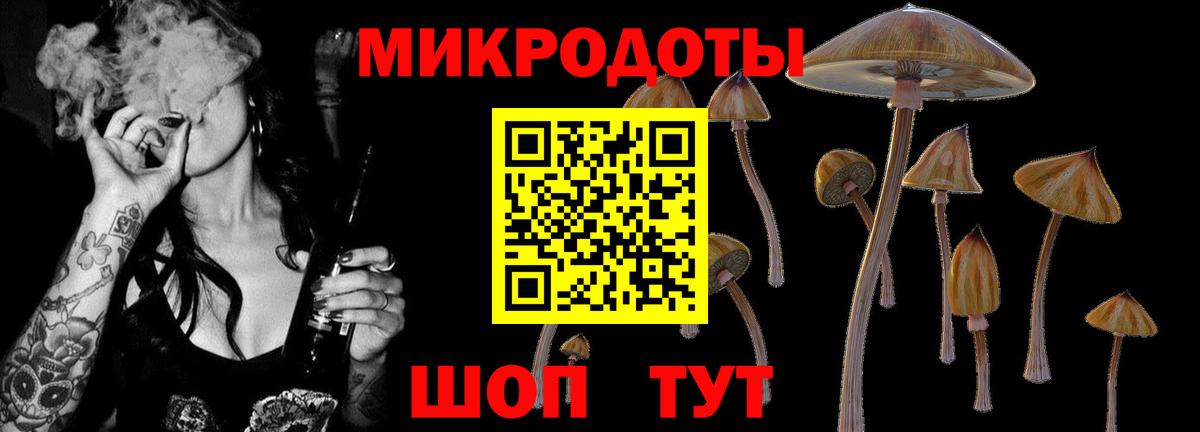 Кызыл  Галлюциногенные грибы Psilocybine cubensis  Вход с VPN 